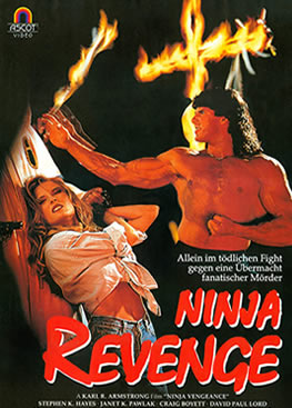 Ninja’nın İntikamı – Ninja Vengeance (1993) Türkçe Dublaj WEB-DL TR-ENG Dual